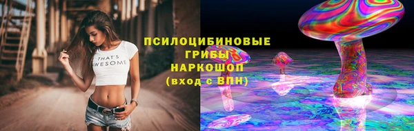 амф Елизово