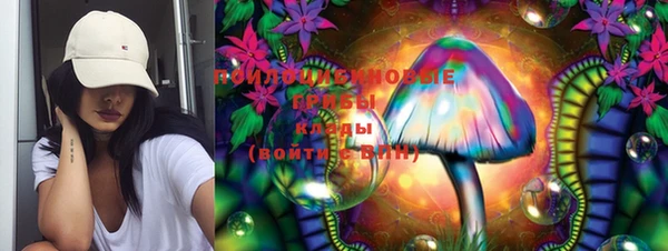 СК Гусь-Хрустальный